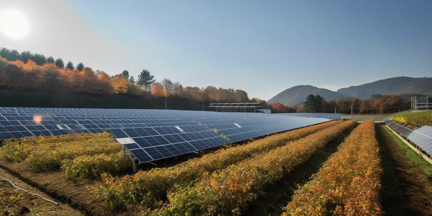 Jakie najlepsze panele fotowoltaiczne?