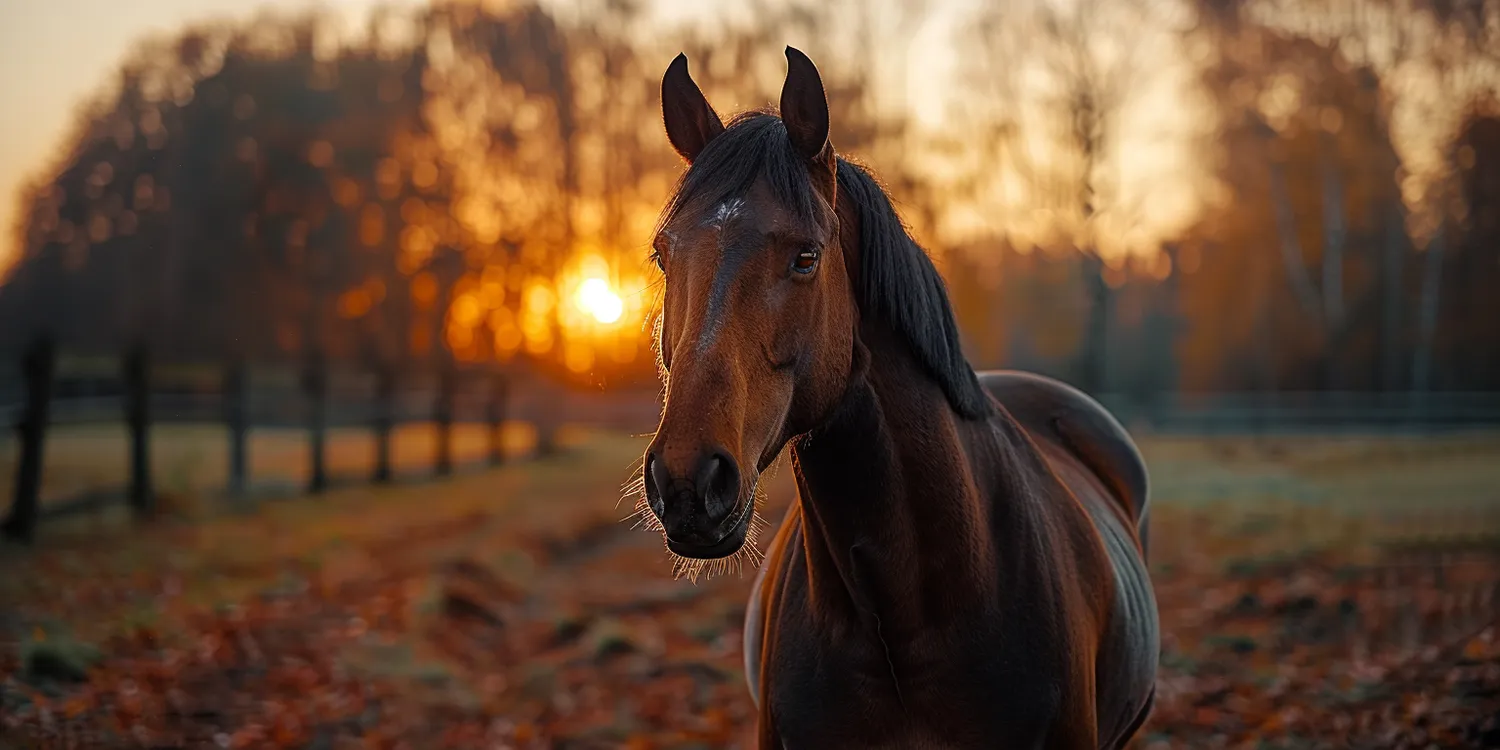 Działanie krematorium dla zwierząt
