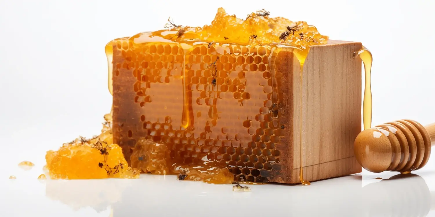 Jakie działanie ma miód spadziowy?