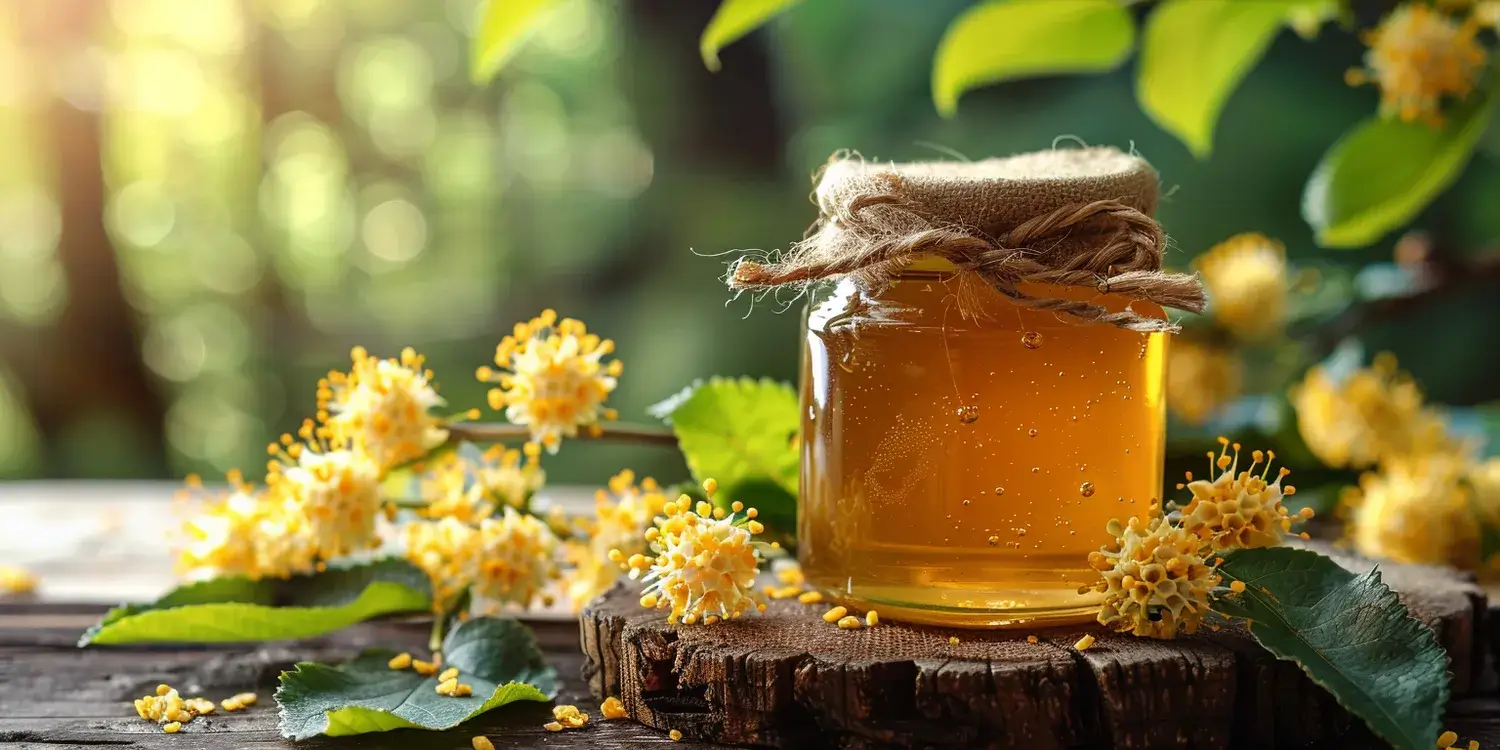 Miód nawłociowy na co działa?