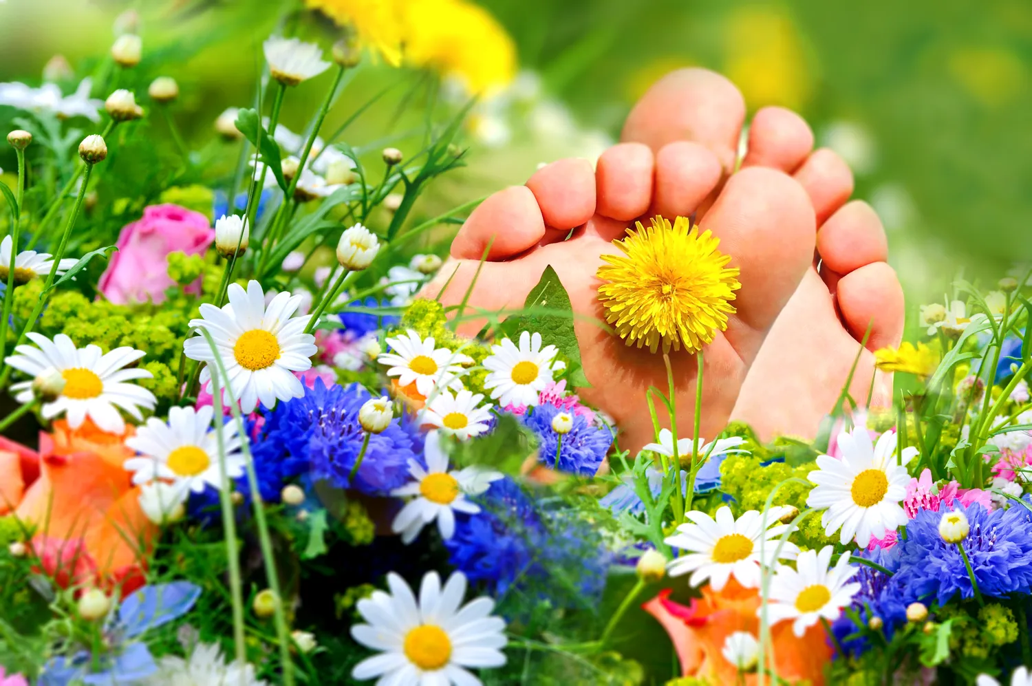 Opatrunki ze srebrem - jak zakładać by rana dobrze zagoiła się?