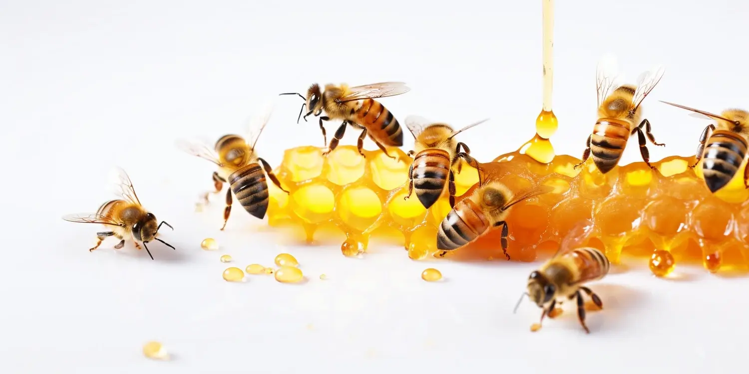 Miód wielokwiatowy na co pomaga?